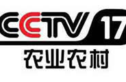 cctv17在线直播,全方位展示乡村振兴风采的在线直播平台