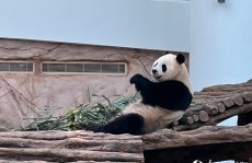 （“奔跑车主加塞砸车”事变警方转达）-2024年06月29日Blo！刘宇宁碰到“丑”评粉丝怒怼剧组文娱圈颜值焦急再度跳级