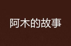 阿木的故事,逆境中的成长与蜕变