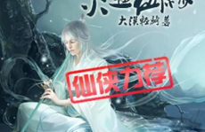 灵壶仙缘,探寻神秘仙界，揭开修真奥秘之旅