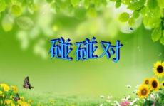 莎莎课件站,教育资源宝库的探索之旅
