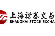 上海证券网,全面解析票据市场发展与风险管理