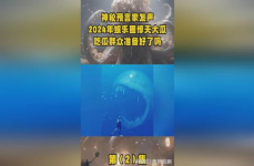 2024年娱乐吃瓜,吃瓜群众视角下的热点事件盘点
