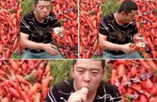 网红吃瓜骗局揭秘,揭秘背后真相，警惕网络陷阱